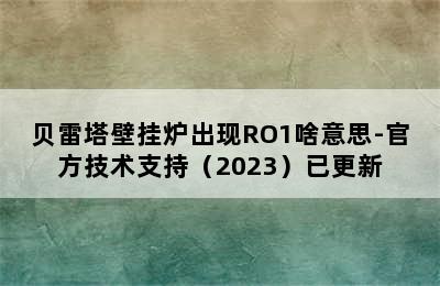 贝雷塔壁挂炉出现RO1啥意思-官方技术支持（2023）已更新