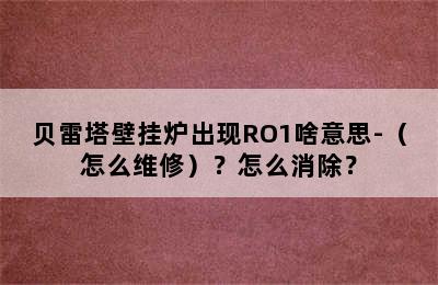 贝雷塔壁挂炉出现RO1啥意思-（怎么维修）？怎么消除？