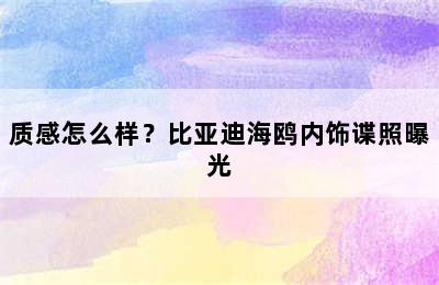 质感怎么样？比亚迪海鸥内饰谍照曝光