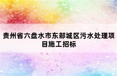 贵州省六盘水市东部城区污水处理项目施工招标