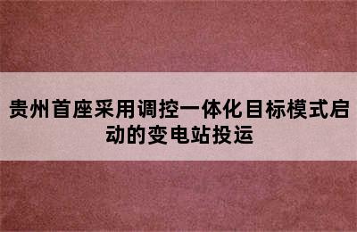 贵州首座采用调控一体化目标模式启动的变电站投运