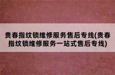 贵春指纹锁维修服务售后专线(贵春指纹锁维修服务一站式售后专线)