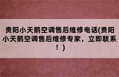 贵阳小天鹅空调售后维修电话(贵阳小天鹅空调售后维修专家，立即联系！)