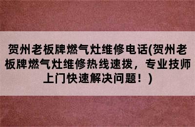 贺州老板牌燃气灶维修电话(贺州老板牌燃气灶维修热线速拨，专业技师上门快速解决问题！)