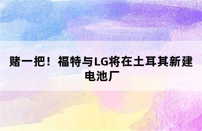 赌一把！福特与LG将在土耳其新建电池厂