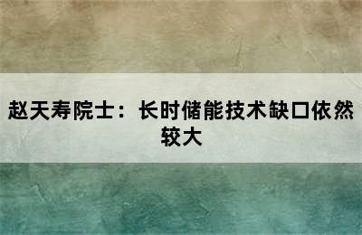 赵天寿院士：长时储能技术缺口依然较大