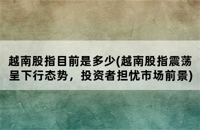 越南股指目前是多少(越南股指震荡呈下行态势，投资者担忧市场前景)