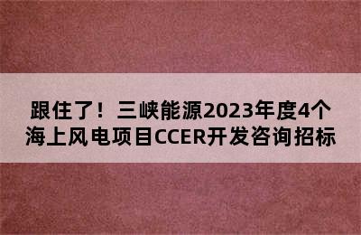 跟住了！三峡能源2023年度4个海上风电项目CCER开发咨询招标