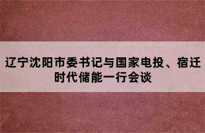 辽宁沈阳市委书记与国家电投、宿迁时代储能一行会谈