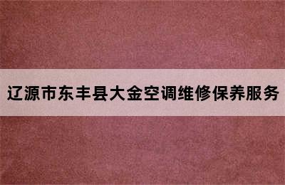 辽源市东丰县大金空调维修保养服务