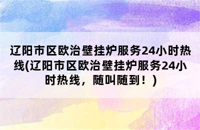 辽阳市区欧治壁挂炉服务24小时热线(辽阳市区欧治壁挂炉服务24小时热线，随叫随到！)