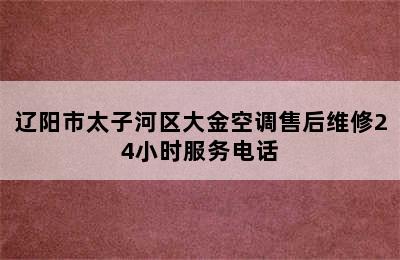 辽阳市太子河区大金空调售后维修24小时服务电话