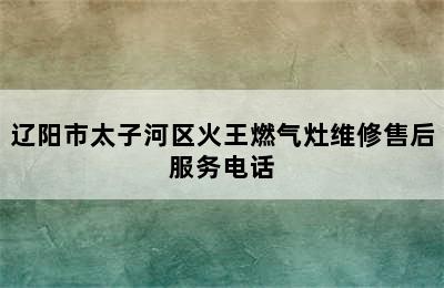 辽阳市太子河区火王燃气灶维修售后服务电话