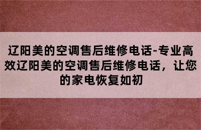 辽阳美的空调售后维修电话-专业高效辽阳美的空调售后维修电话，让您的家电恢复如初