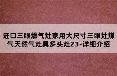 进口三眼燃气灶家用大尺寸三眼灶煤气天然气灶具多头灶Z3-详细介绍