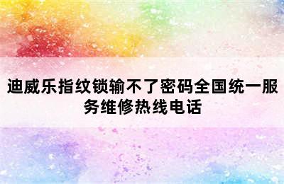 迪威乐指纹锁输不了密码全国统一服务维修热线电话