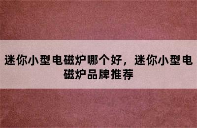 迷你小型电磁炉哪个好，迷你小型电磁炉品牌推荐