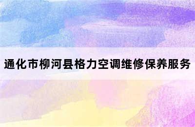 通化市柳河县格力空调维修保养服务