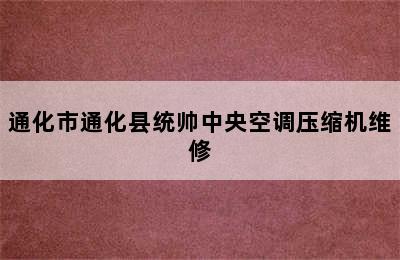 通化市通化县统帅中央空调压缩机维修