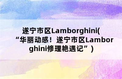 遂宁市区Lamborghini(“华丽动感！遂宁市区Lamborghini修理艳遇记”)