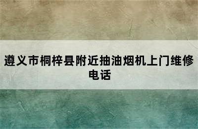 遵义市桐梓县附近抽油烟机上门维修电话