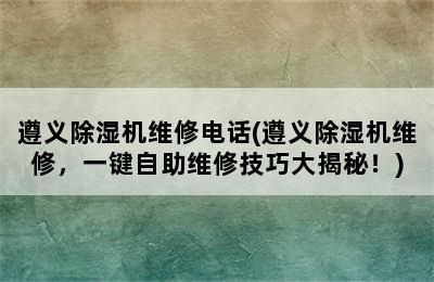 遵义除湿机维修电话(遵义除湿机维修，一键自助维修技巧大揭秘！)