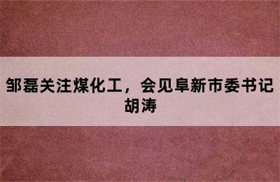 邹磊关注煤化工，会见阜新市委书记胡涛