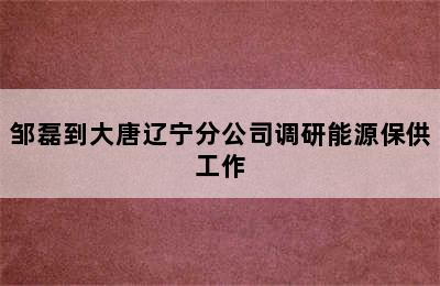 邹磊到大唐辽宁分公司调研能源保供工作