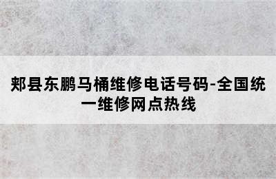 郏县东鹏马桶维修电话号码-全国统一维修网点热线