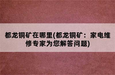 都龙铜矿在哪里(都龙铜矿：家电维修专家为您解答问题)