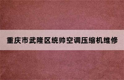 重庆市武隆区统帅空调压缩机维修