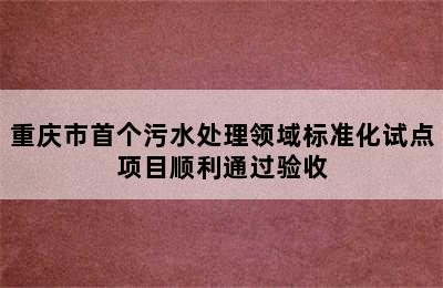 重庆市首个污水处理领域标准化试点项目顺利通过验收