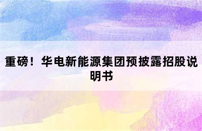 重磅！华电新能源集团预披露招股说明书