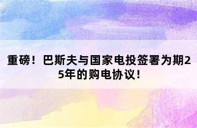 重磅！巴斯夫与国家电投签署为期25年的购电协议！