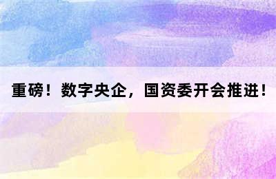 重磅！数字央企，国资委开会推进！