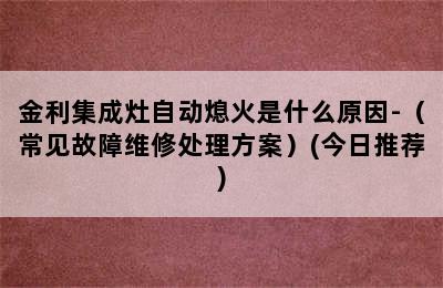 金利集成灶自动熄火是什么原因-（常见故障维修处理方案）(今日推荐)