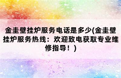 金圭壁挂炉服务电话是多少(金圭壁挂炉服务热线：欢迎致电获取专业维修指导！)