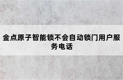 金点原子智能锁不会自动锁门用户服务电话