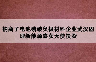 钠离子电池磷碳负极材料企业武汉固理新能源喜获天使投资