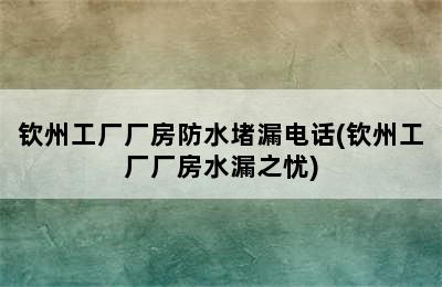 钦州工厂厂房防水堵漏电话(钦州工厂厂房水漏之忧)