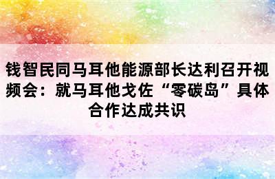 钱智民同马耳他能源部长达利召开视频会：就马耳他戈佐“零碳岛”具体合作达成共识