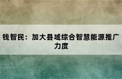 钱智民：加大县域综合智慧能源推广力度