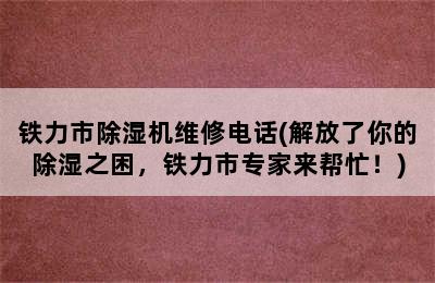 铁力市除湿机维修电话(解放了你的除湿之困，铁力市专家来帮忙！)