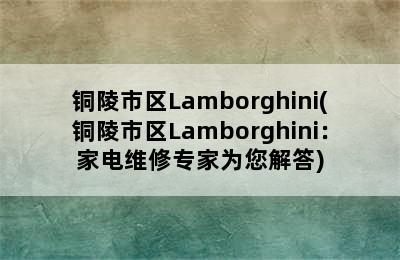 铜陵市区Lamborghini(铜陵市区Lamborghini：家电维修专家为您解答)