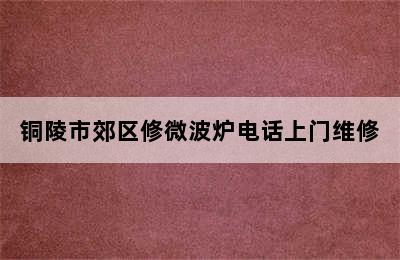 铜陵市郊区修微波炉电话上门维修