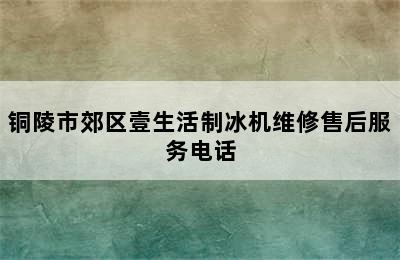 铜陵市郊区壹生活制冰机维修售后服务电话