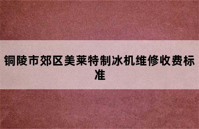 铜陵市郊区美莱特制冰机维修收费标准