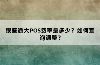 银盛通大POS费率是多少？如何查询调整？