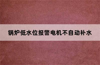 锅炉低水位报警电机不自动补水