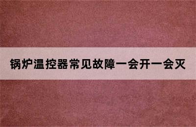 锅炉温控器常见故障一会开一会灭